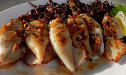 Gegrillter Tintenfisch